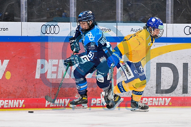 Eishockey, Frauen, DFEL, Saison 2025-2026, Testspiel, ERC Ingolstadt - HC Davos, 14.02.2026