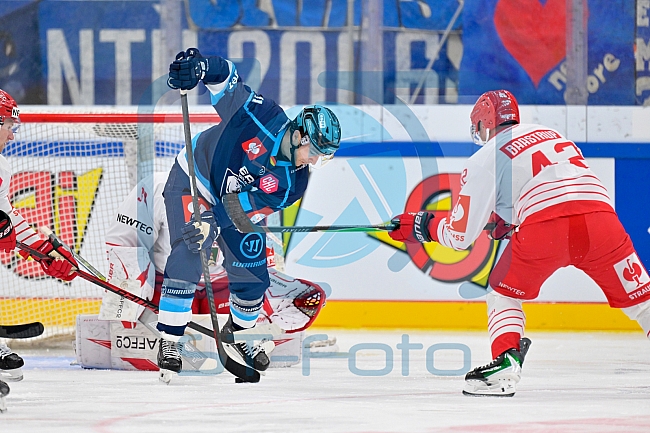 Hockey, Mens, CHL, Season 2025-2026, Regular Season, Game Day 6, ERC Ingolstadt - Odense Bulldogs, 15.10.2025
