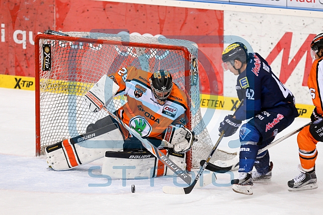 ERC Ingolstadt  - Grizzlys Wolfsburg, Eishockey, DEL, Deutsche Eishockey Liga, Spieltag 42, 31.01.2016