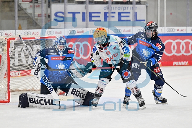 Eishockey, Herren, DEL, Saison 2023-2024, Playoffs Viertelfinale - Spiel 2, ERC Ingolstadt - Fischtown Pinguins , 20.03.2024