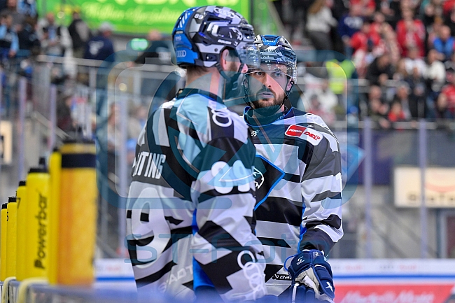 Eishockey, Herren, DEL, Saison 2024-2025, Playoffs Halbfinale, Spiel 5, ERC Ingolstadt - Kölner Haie, 11.04.2025
