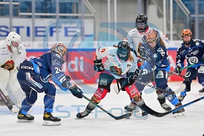 Eishockey, Frauen, DFEL, Saison 2024-2025, ERC Ingolstadt - EC Bergkamener Bären, 04.01.2025