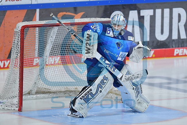 Eishockey, Frauen, DFEL, Saison 2020-2021, ERC Ingolstadt - Eisbären Juniors Berlin, 10.01.2021