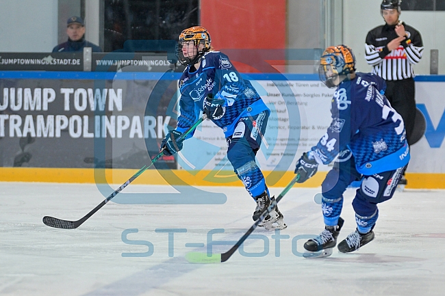 Eishockey, Frauen, DFEL, Saison 2024-2025, ERC Ingolstadt - ECDC Memmingen Indians, 19.01.2025