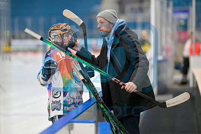Eishockey, Frauen, DFEL, Saison 2024-2025, ERC Ingolstadt - Mad Dogs Mannheim, 23.11.2024