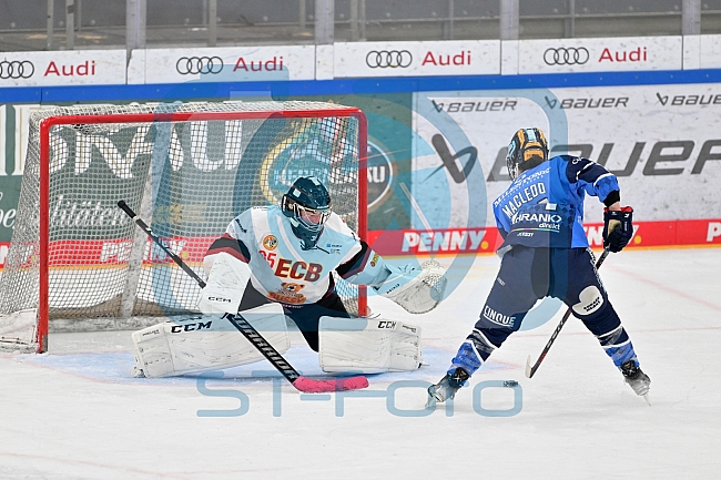 Eishockey, Frauen, DFEL, Saison 2023-2024, ERC Ingolstadt - EC Bergkamener Bären, 28.10.2023
