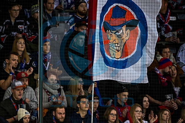 ERC Ingolstadt vs Thomas Sabo Ice Tigers am 06.01.2019, Spieltag 37