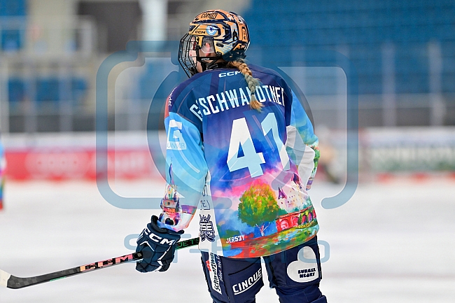 Eishockey, Frauen, DFEL, Saison 2024-2025, ERC Ingolstadt - ECDC Memmingen Indians, 16.11.2024