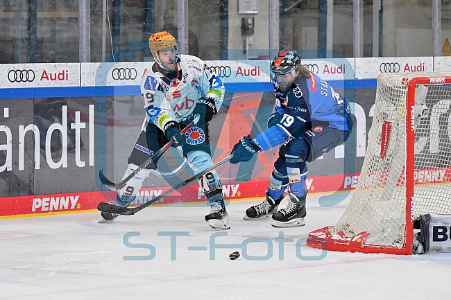 Eishockey, Herren, DEL, Saison 2023-2024, Playoffs Viertelfinale - Spiel 2, ERC Ingolstadt - Fischtown Pinguins , 20.03.2024