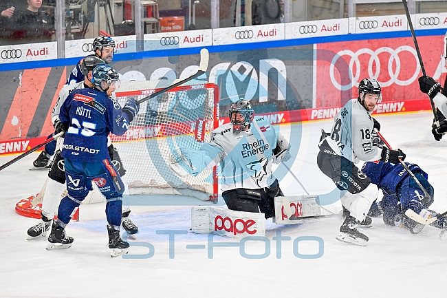 Eishockey, Herren, DEL, Saison 2024-2025, Playoffs Halbfinale, Spiel 3, ERC Ingolstadt - Kölner Haie, 06.04.2025