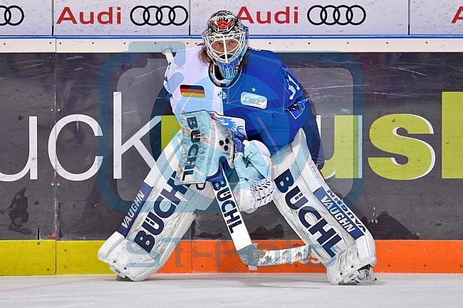 ERC Ingolstadt vs Schwenninger Wild Wings, DEL, Deutsche Eishockey Liga, Spieltag 48, 19.02.2019