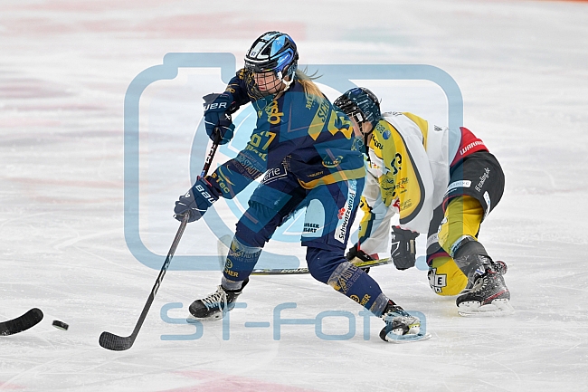 Eishockey, Frauen, DFEL, Saison 2022-2023, ERC Ingolstadt - Mad Dogs Mannheim, 20.11.2022