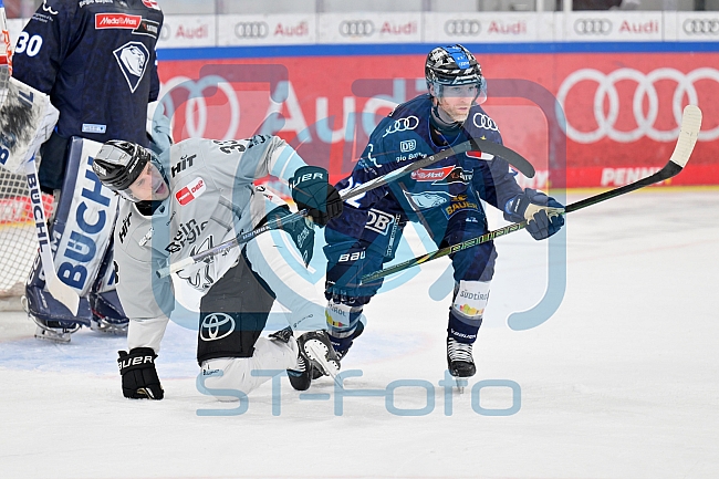 Eishockey, Herren, DEL, Saison 2024-2025, Playoffs Halbfinale, Spiel 5, ERC Ingolstadt - Kölner Haie, 11.04.2025