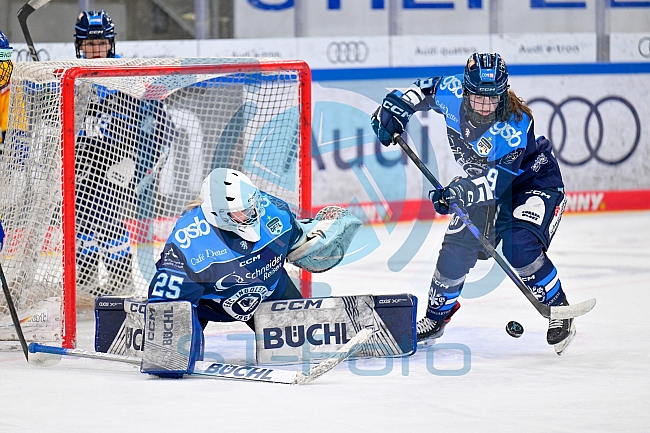 Eishockey, Frauen, DFEL, Saison 2025-2026, Testspiel, ERC Ingolstadt - HC Davos, 14.02.2026