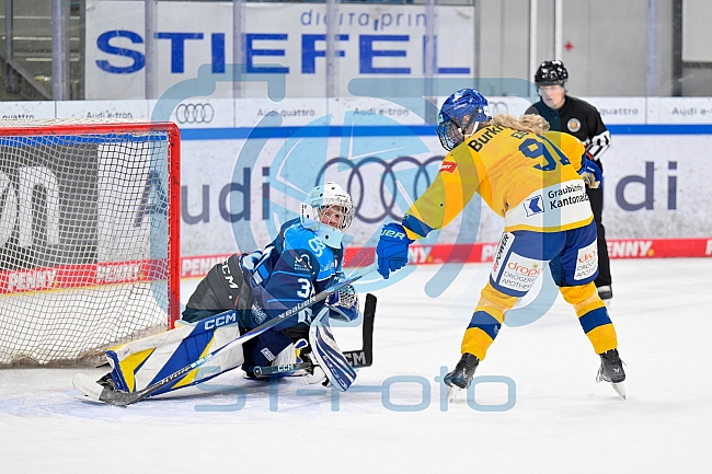 Eishockey, Frauen, DFEL, Saison 2025-2026, Testspiel, ERC Ingolstadt - HC Davos, 14.02.2026