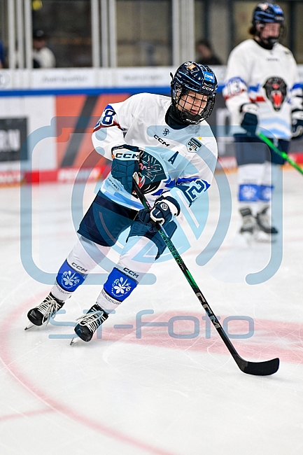 Eishockey, Frauen, DFEL, Saison 2026-2027, Testspiel, ERC Ingolstadt - ZSC Lions Zürich, 05.09.2026