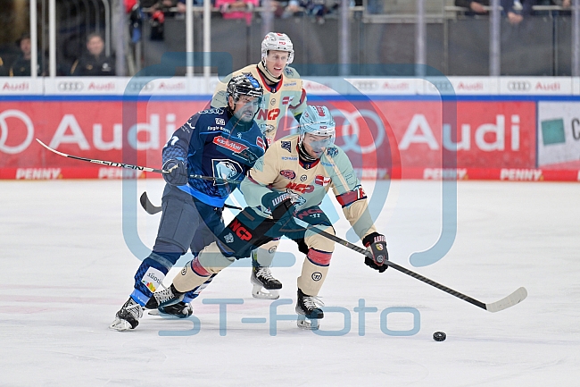 Eishockey, Herren, DEL, Saison 2024-2025, Vorbereitung, ERC Ingolstadt - Nürnberg Ice Tigers, 15.09.2024