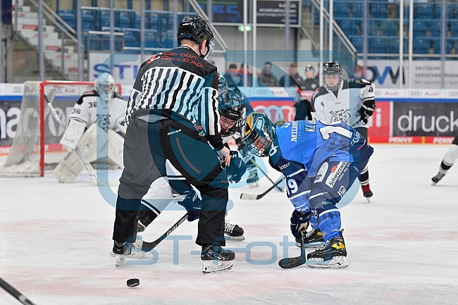 Eishockey, Frauen, DFEL, Saison 2023-2024, ERC Ingolstadt - Amsterdam Tigers, 06.01.2024