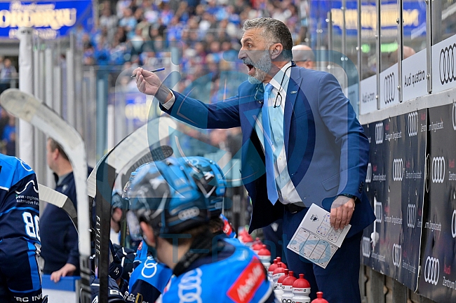 Eishockey, Herren, DEL, Saison 2025-2026, Spiel 10, ERC Ingolstadt - Löwen Frankfurt, 12.10.2025