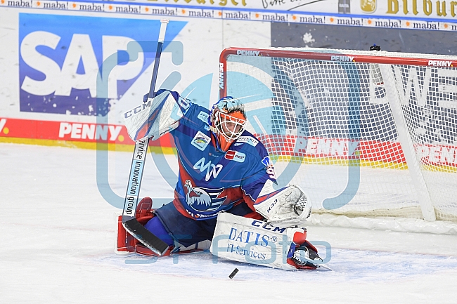 Eishockey, Herren, DEL, Saison 2020-2021, Adler Mannheim - ERC Ingolstadt, 15.02.2021