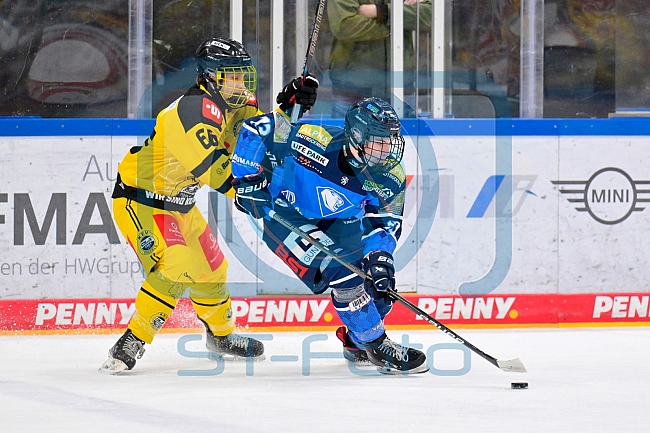 Eishockey, U20, DNL, Saison 2024-2025, ERC Ingolstadt - Krefelder EV 81, 01.03.2025