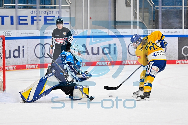 Eishockey, Frauen, DFEL, Saison 2025-2026, Testspiel, ERC Ingolstadt - HC Davos, 14.02.2026