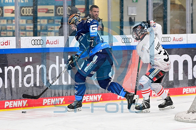 Eishockey, Frauen, DFEL, Saison 2024-2025, ERC Ingolstadt - ECDC Memmingen Indians, 16.11.2024