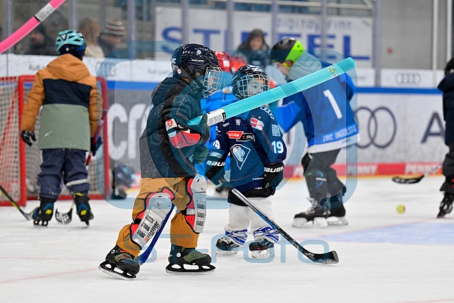 Eishockey, Saison 2025-2026, ERC Ingolstadt - Kids On Ice Day, 10.01.2026