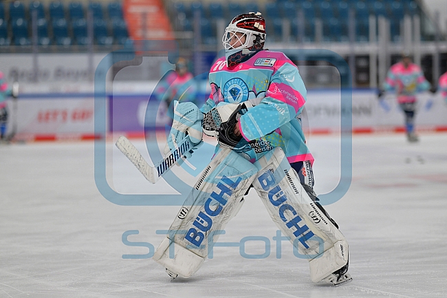 Eishockey, Frauen, DFEL, Saison 2023-2024, ERC Ingolstadt - Amsterdam Tigers, 06.01.2024