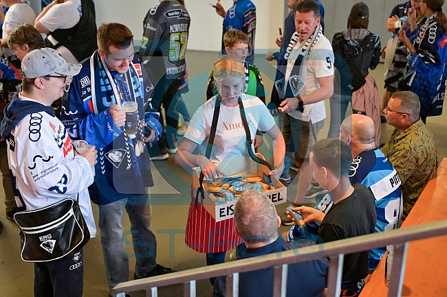 Eishockey, Herren, DEL, Saison 2024-2025, Vorbereitung, ERC Ingolstadt - Dresdner Eislöwen, 18.08.2024