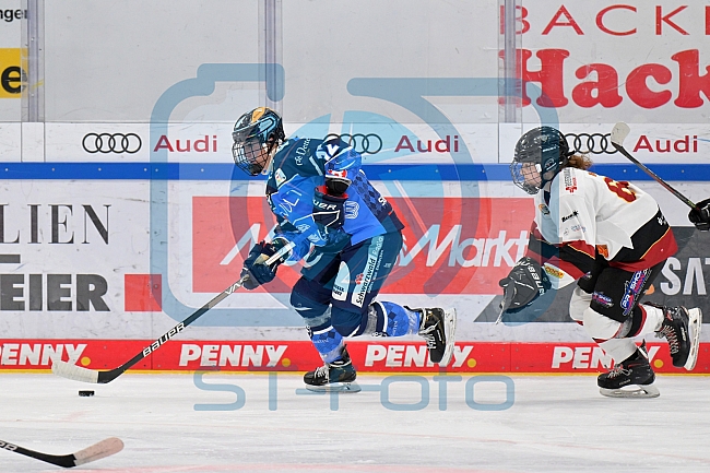 Eishockey, Frauen, DFEL, Saison 2023-2024, ERC Ingolstadt - EC Bergkamener Bären, 28.10.2023