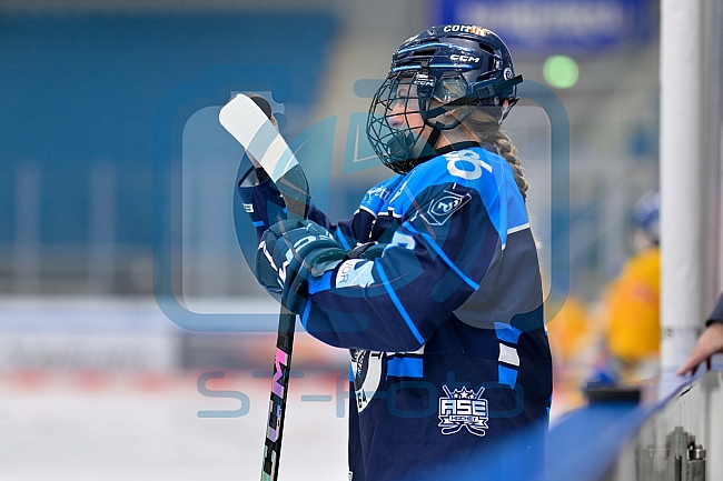 Eishockey, Frauen, DFEL, Saison 2025-2026, Testspiel, ERC Ingolstadt - HC Davos, 14.02.2026