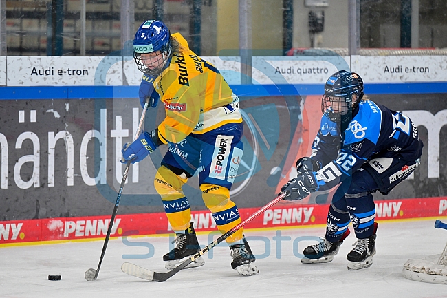 Eishockey, Frauen, DFEL, Saison 2025-2026, Testspiel, ERC Ingolstadt - HC Davos, 14.02.2026
