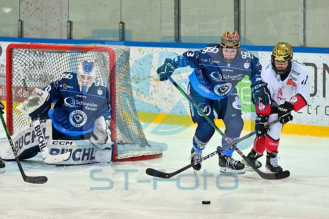 Eishockey, Frauen, DFEL, Saison 2024-2025, ERC Ingolstadt - HK Budapest Roster, 12.01.2025
