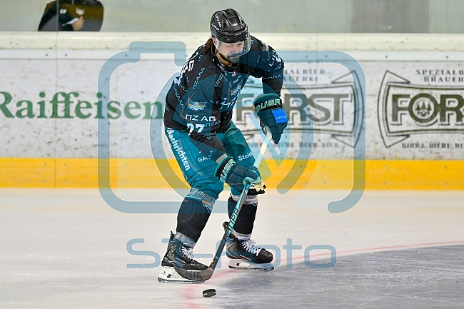 Eishockey, Herren, DEL, Saison 2026-2027, ERC Ingolstadt - HC Verva Litvinov - Steinbach Black Wings Linz, 22.08.2026