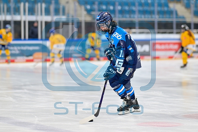 Eishockey, Frauen, DFEL, Saison 2025-2026, Testspiel, ERC Ingolstadt - HC Davos, 14.02.2026