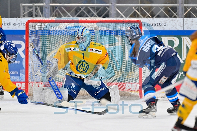 Eishockey, Frauen, DFEL, Saison 2025-2026, Testspiel, ERC Ingolstadt - HC Davos, 14.02.2026