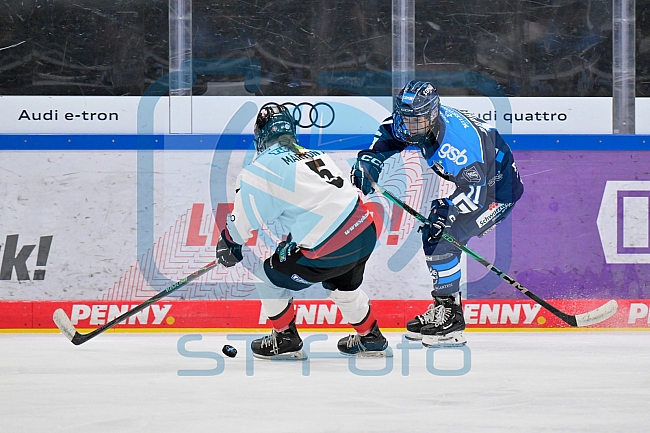 Eishockey, Frauen, DFEL, Saison 2025-2026, ERC Ingolstadt - HK Budapest, 15.11.2025
