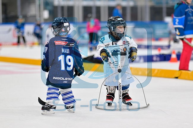 Eishockey, Saison 2025-2026, ERC Ingolstadt - Kids On Ice Day, 29.11.2025