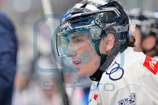 Eishockey, Herren, DEL, Saison 2024-2025, Vorbereitung, ERC Ingolstadt - Dresdner Eislöwen, 18.08.2024