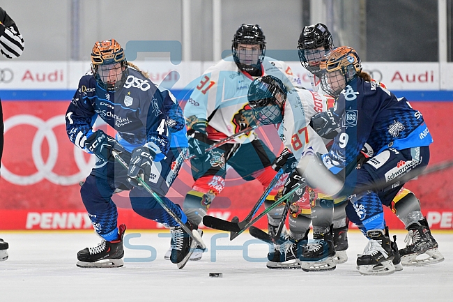 Eishockey, Frauen, DFEL, Saison 2024-2025, ERC Ingolstadt - EC Bergkamener Bären, 12.10.2024