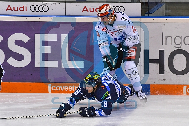 ERC Ingolstadt vs Schwenninger Wild Wingsam 19.02.2019, Spieltag 48