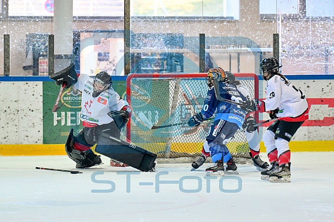 Eishockey, Frauen, DFEL, Saison 2024-2025, ERC Ingolstadt - HK Budapest Roster, 12.01.2025