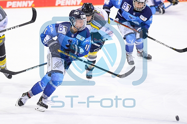 Eishockey, Frauen, DFEL, Saison 2020-2021, ERC Ingolstadt - Mad Dogs Mannheim, 30.01.2021