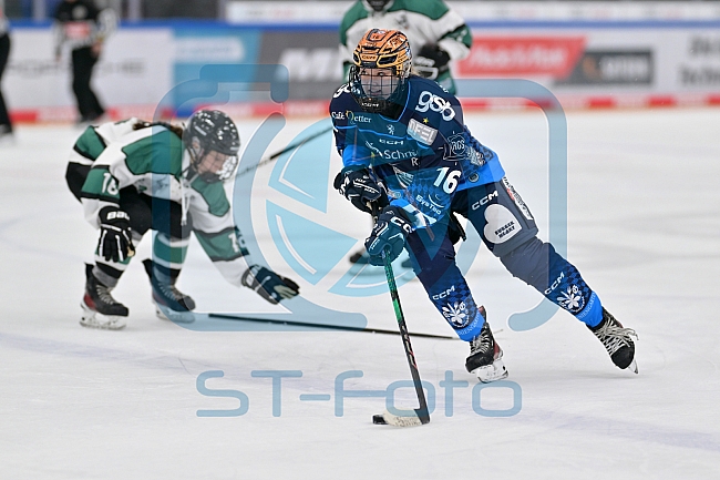 Eishockey, Frauen, European Womens Hockey League, Saison 2024-2025, ERC Ingolstadt - Lakers Kärnten, 13.09.2024