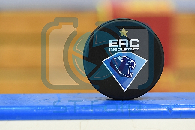 ERC Ingolstadt vs Adler Mannheim, Eishockey, DEL, Deutsche Eishockey Liga, Spieltag 46, 10.02.2017