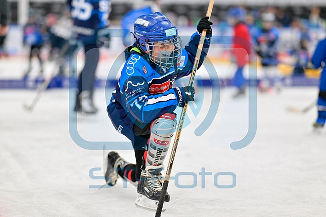 Eishockey, Saison 2025-2026, ERC Ingolstadt - Kids On Ice Day, 29.11.2025