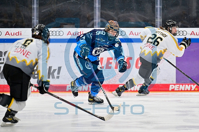 Eishockey, Frauen, DFEL, Saison 2024-2025, ERC Ingolstadt - Mad Dogs Mannheim, 23.11.2024