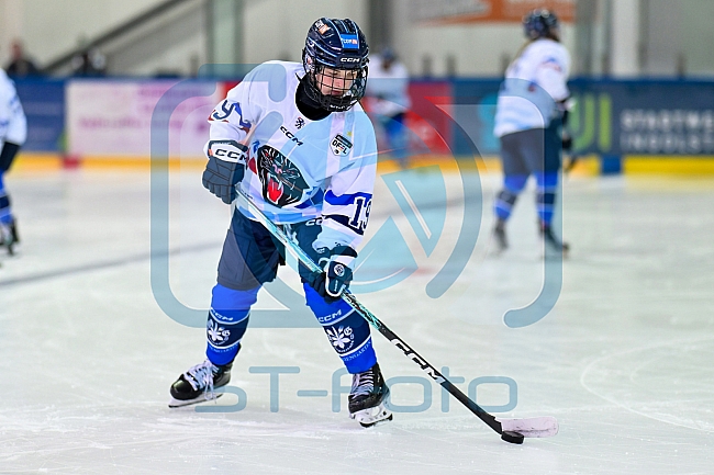 Eishockey, Frauen, DFEL, Saison 2026-2027, ERC Ingolstadt - Eisbären Juniors Berlin, 20.09.2026