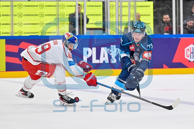 Hockey, Mens, CHL, Season 2025-2026, Regular Season, Round of 16, ERC Ingolstadt - EC Red Bull Salzburg, 12.11.2025